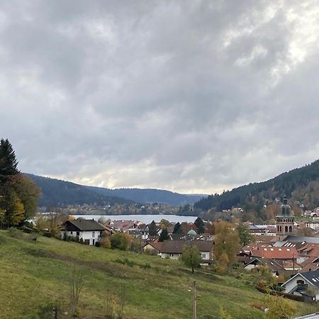 Entre Lac Et Pistes De Ski Gérardmer Εξωτερικό φωτογραφία