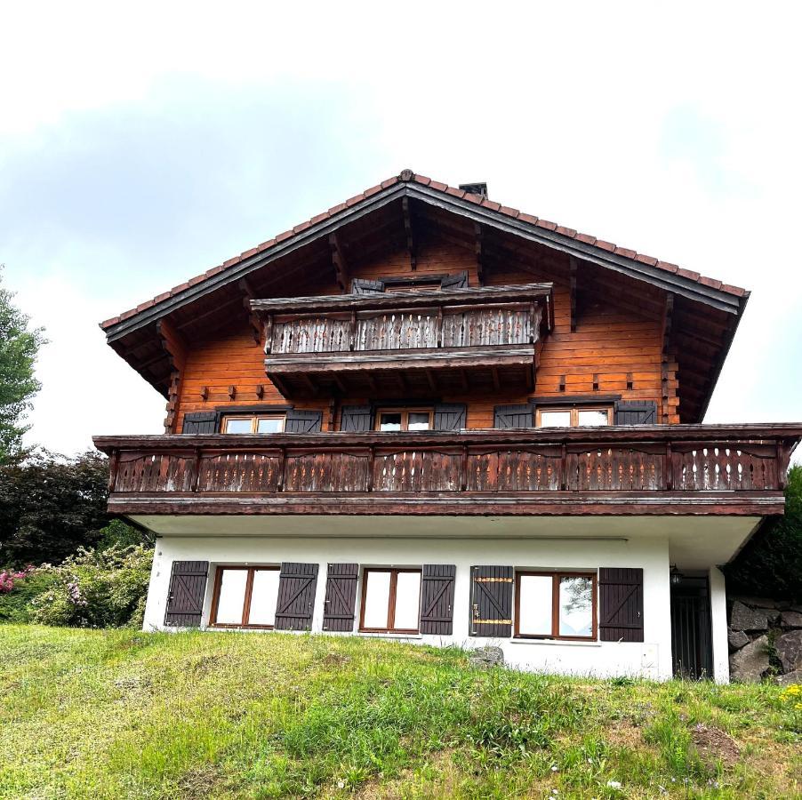 Entre Lac Et Pistes De Ski Gérardmer Εξωτερικό φωτογραφία